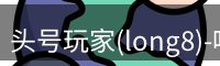 头号玩家(long8)-唯一官方网站